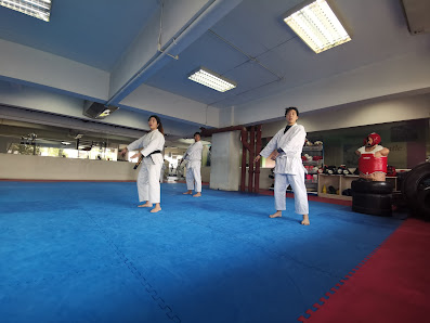 Executive Martial Arts Centre thumb 5